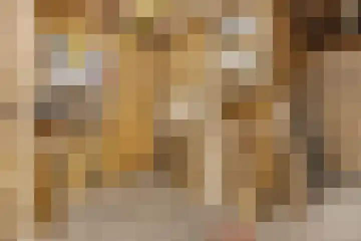 Prins Bernhardlaan 16 Ede thumbnail 76