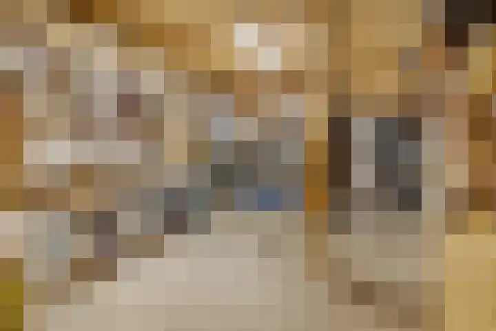 Prins Bernhardlaan 16 Ede thumbnail 77