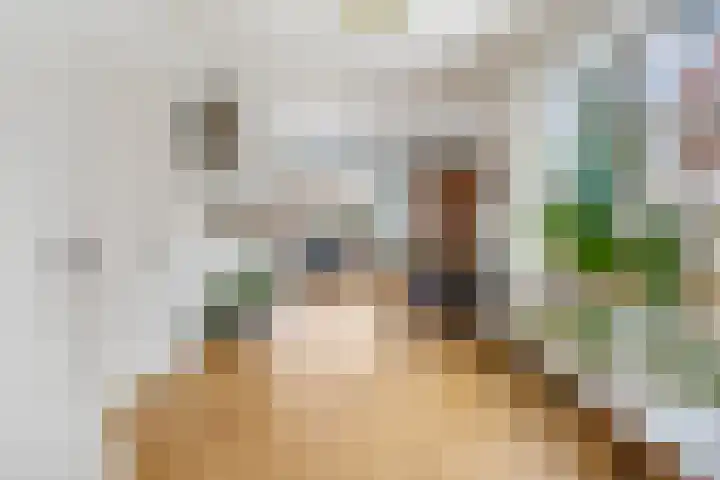 Prins Bernhardlaan 16 Ede thumbnail 9