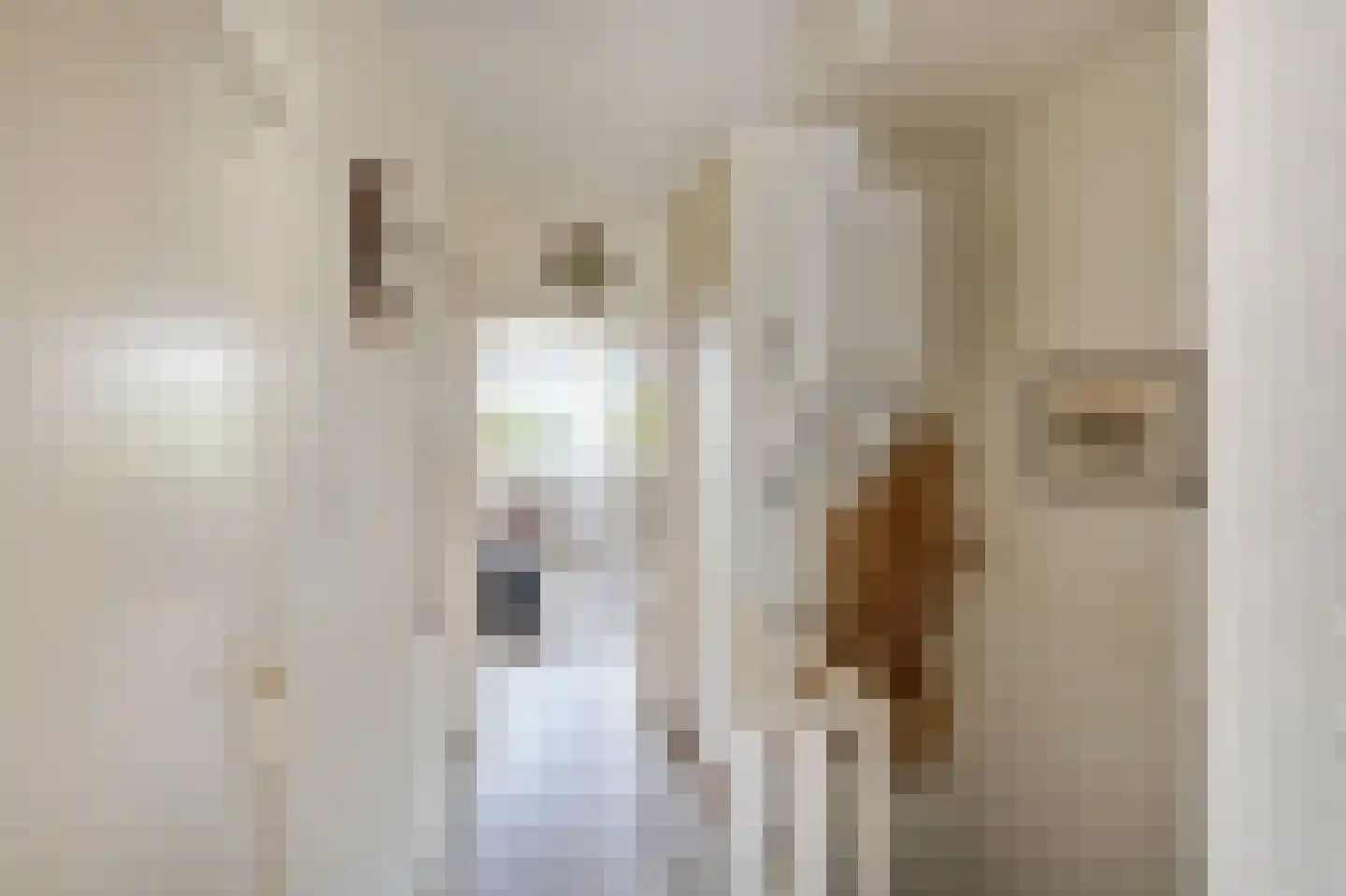 Prins Bernhardlaan 160 Voorburg thumbnail 21