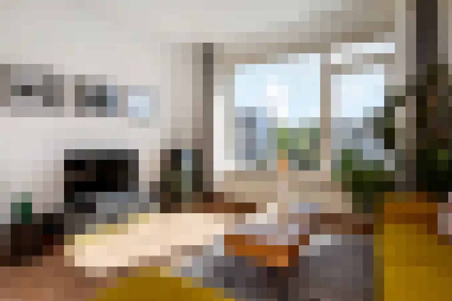 Prins Bernhardlaan 165 Voorburg thumbnail 13