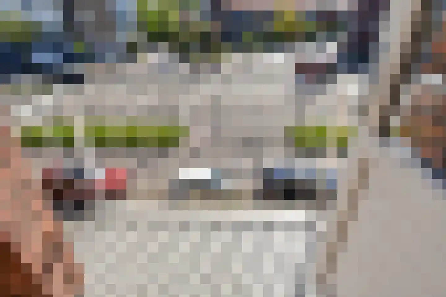 Prins Bernhardlaan 165 Voorburg thumbnail 15