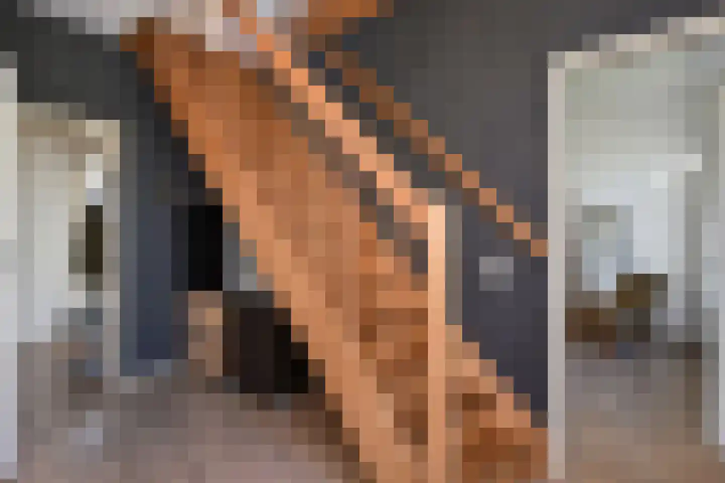 Prins Bernhardlaan 165 Voorburg thumbnail 23