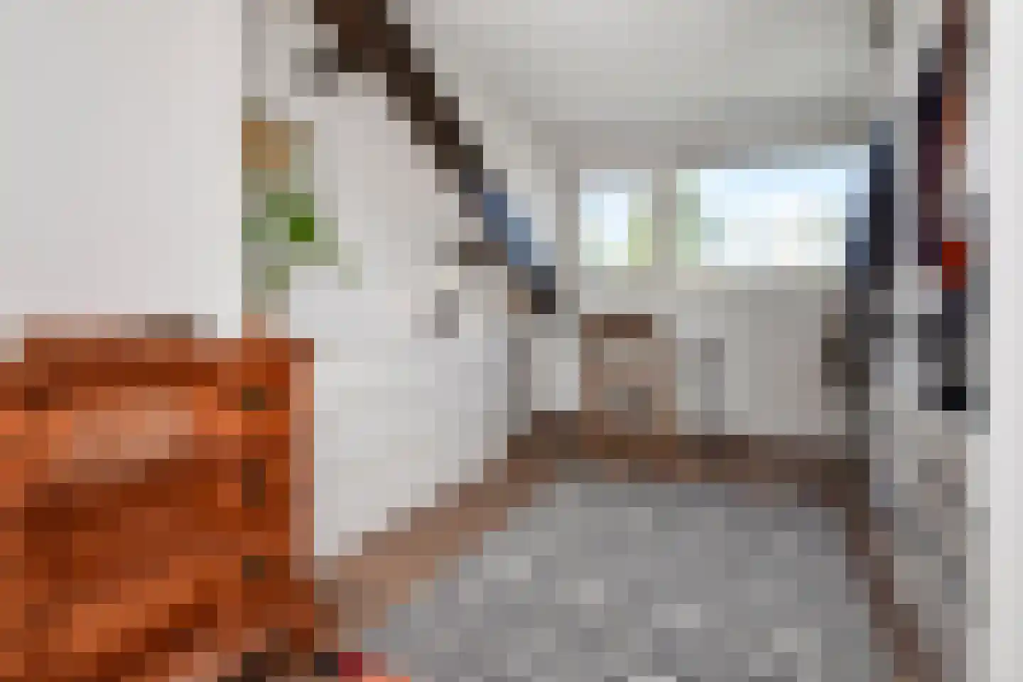 Prins Bernhardlaan 165 Voorburg thumbnail 30