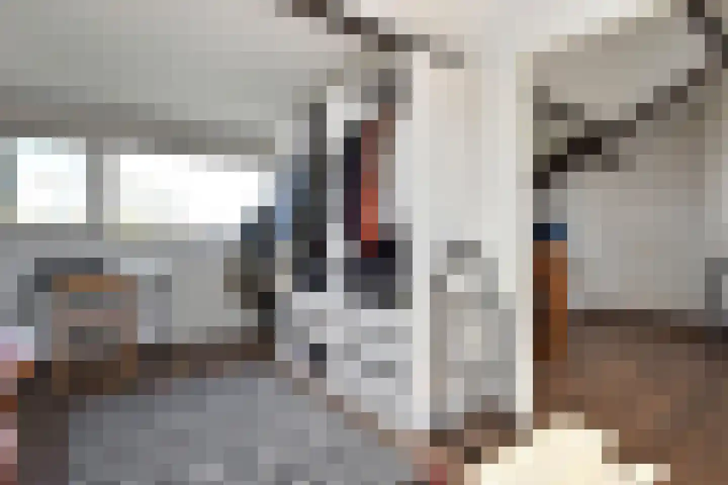 Prins Bernhardlaan 165 Voorburg thumbnail 32