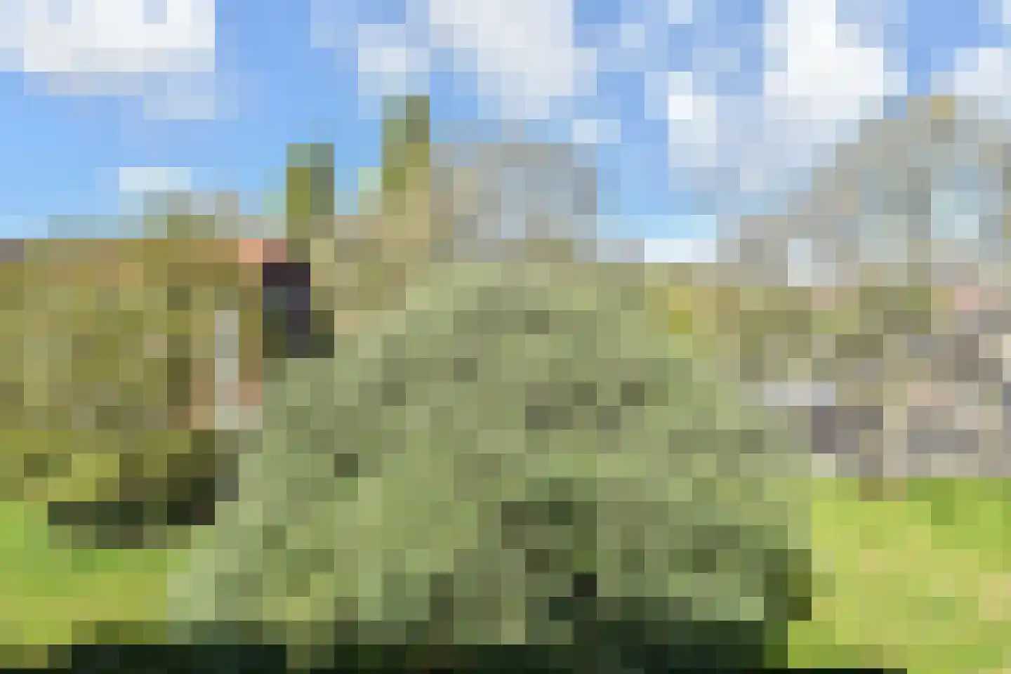 Prins Bernhardlaan 165 Voorburg thumbnail 36