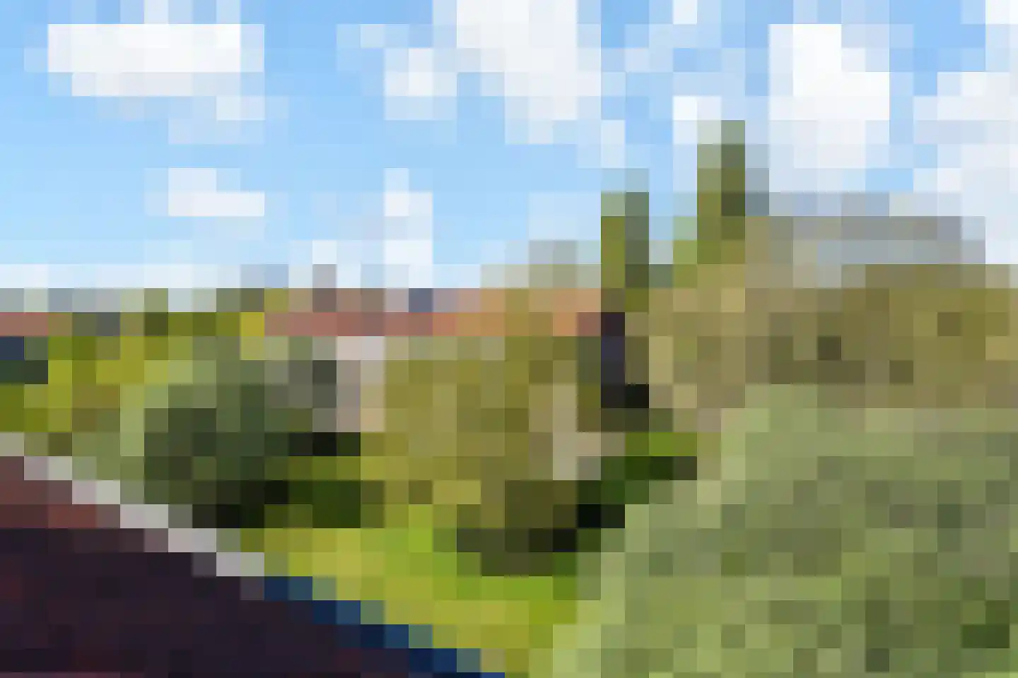 Prins Bernhardlaan 165 Voorburg thumbnail 37