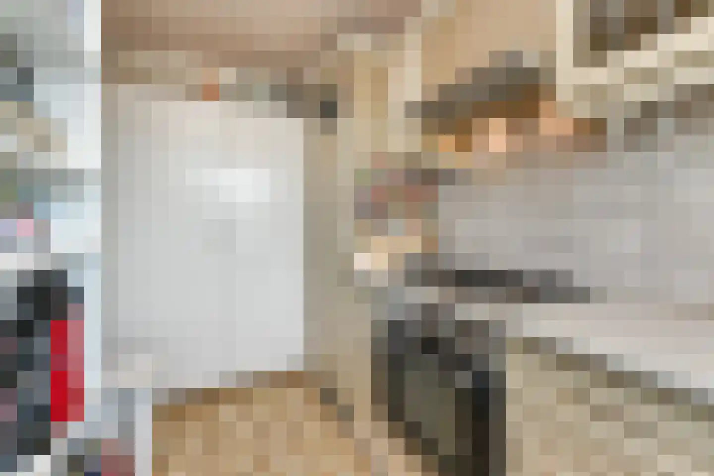 Prins Bernhardlaan 166 Voorburg thumbnail 17