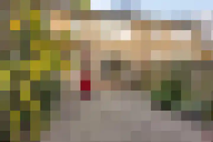 Prins Bernhardlaan 169 Best thumbnail 22