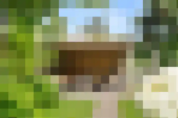 Prins Bernhardlaan 17 Bennekom thumbnail 13