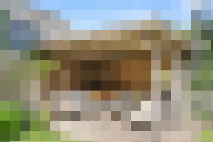 Prins Bernhardlaan 17 Bennekom thumbnail 14