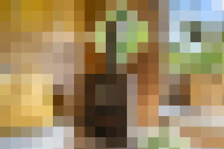 Prins Bernhardlaan 17 Bennekom thumbnail 15