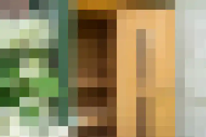 Prins Bernhardlaan 17 Bennekom thumbnail 19
