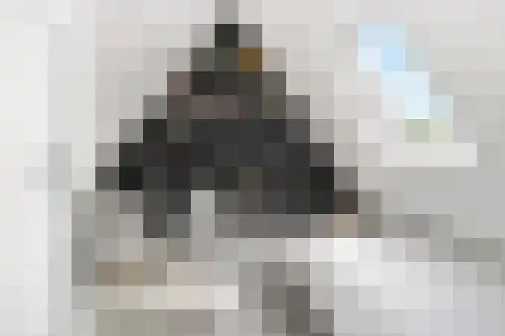 Prins Bernhardlaan 17 Bennekom thumbnail 46