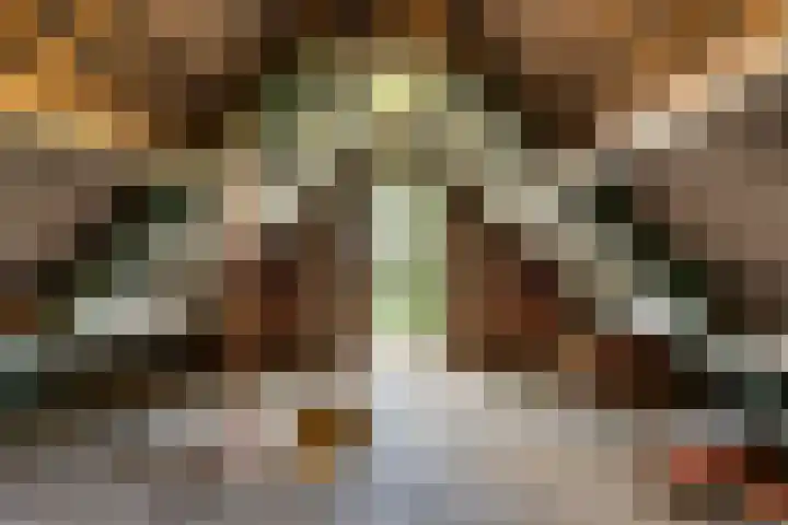Prins Bernhardlaan 17 Bennekom thumbnail 49