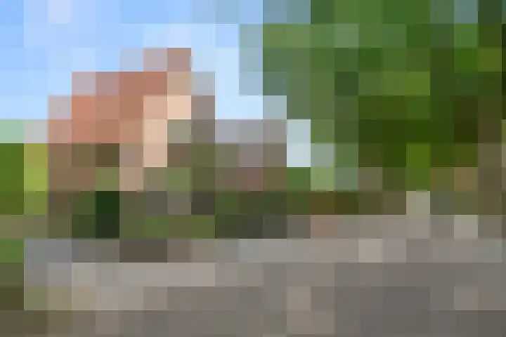 Prins Bernhardlaan 17 Bennekom thumbnail 5