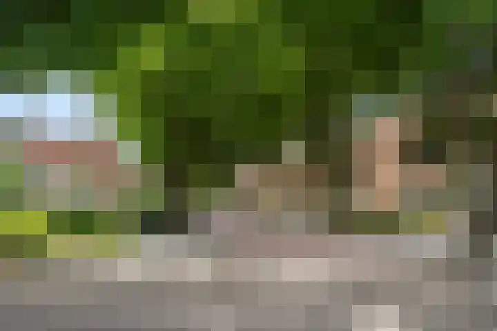 Prins Bernhardlaan 17 Bennekom thumbnail 6