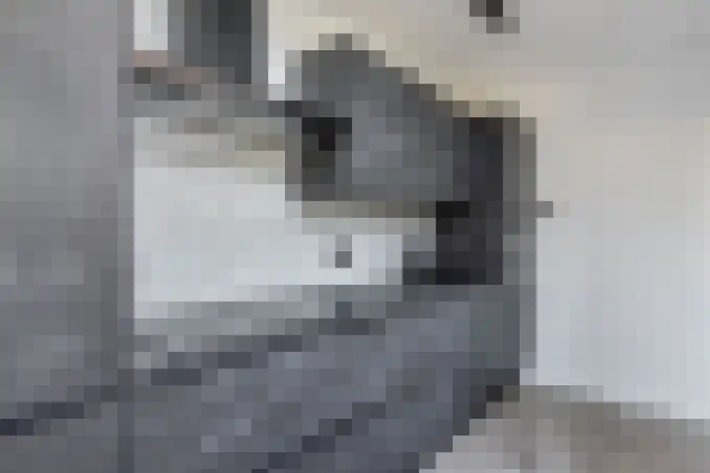 Prins Bernhardlaan 17 Joure thumbnail 19