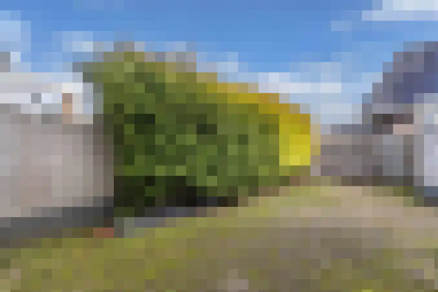 Prins Bernhardlaan 17 Joure thumbnail 31