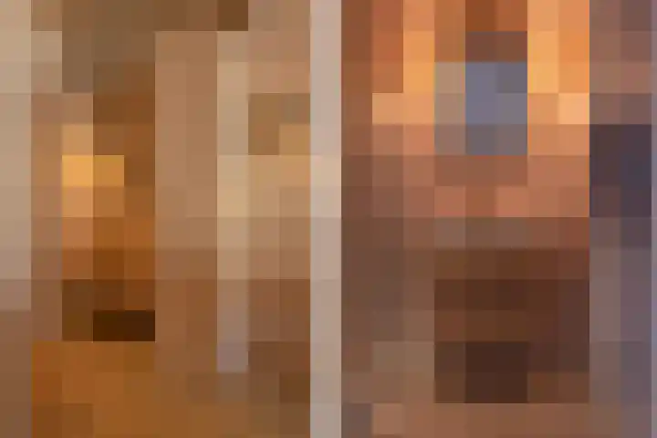 Prins Bernhardlaan 175 K 2 Voorburg thumbnail 15