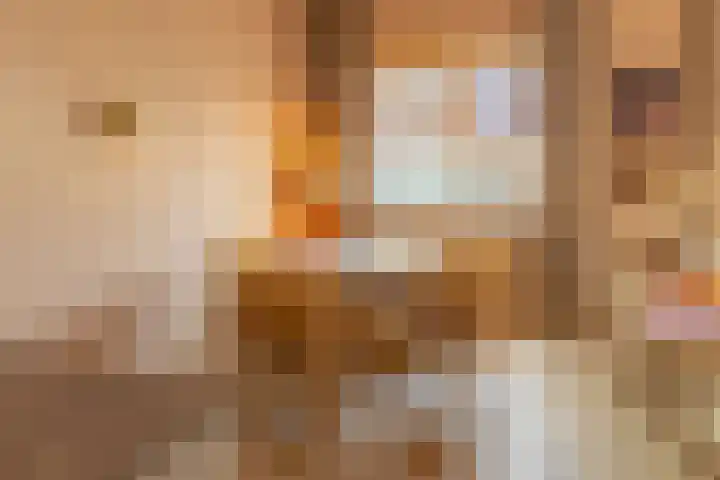 Prins Bernhardlaan 175 K 2 Voorburg thumbnail 6