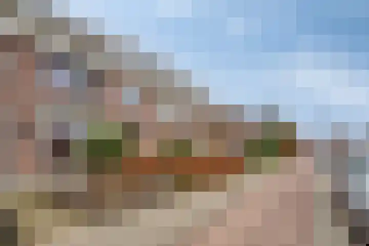 Prins Bernhardlaan 179 Veenendaal thumbnail 39