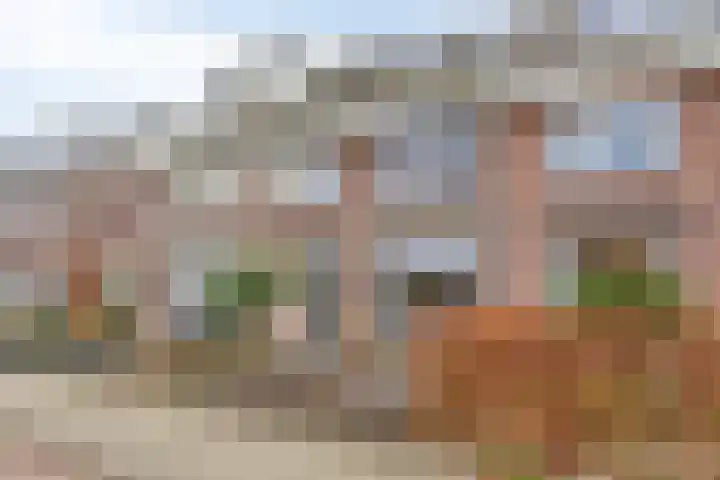 Prins Bernhardlaan 179 Veenendaal thumbnail 7