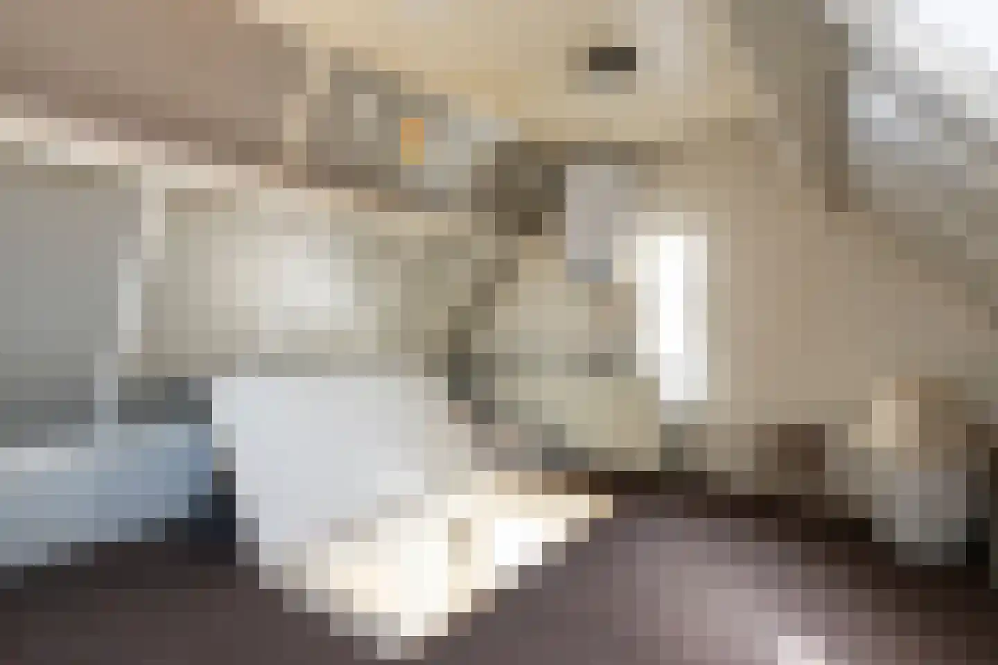 Prins Bernhardlaan 18 Ede thumbnail 34
