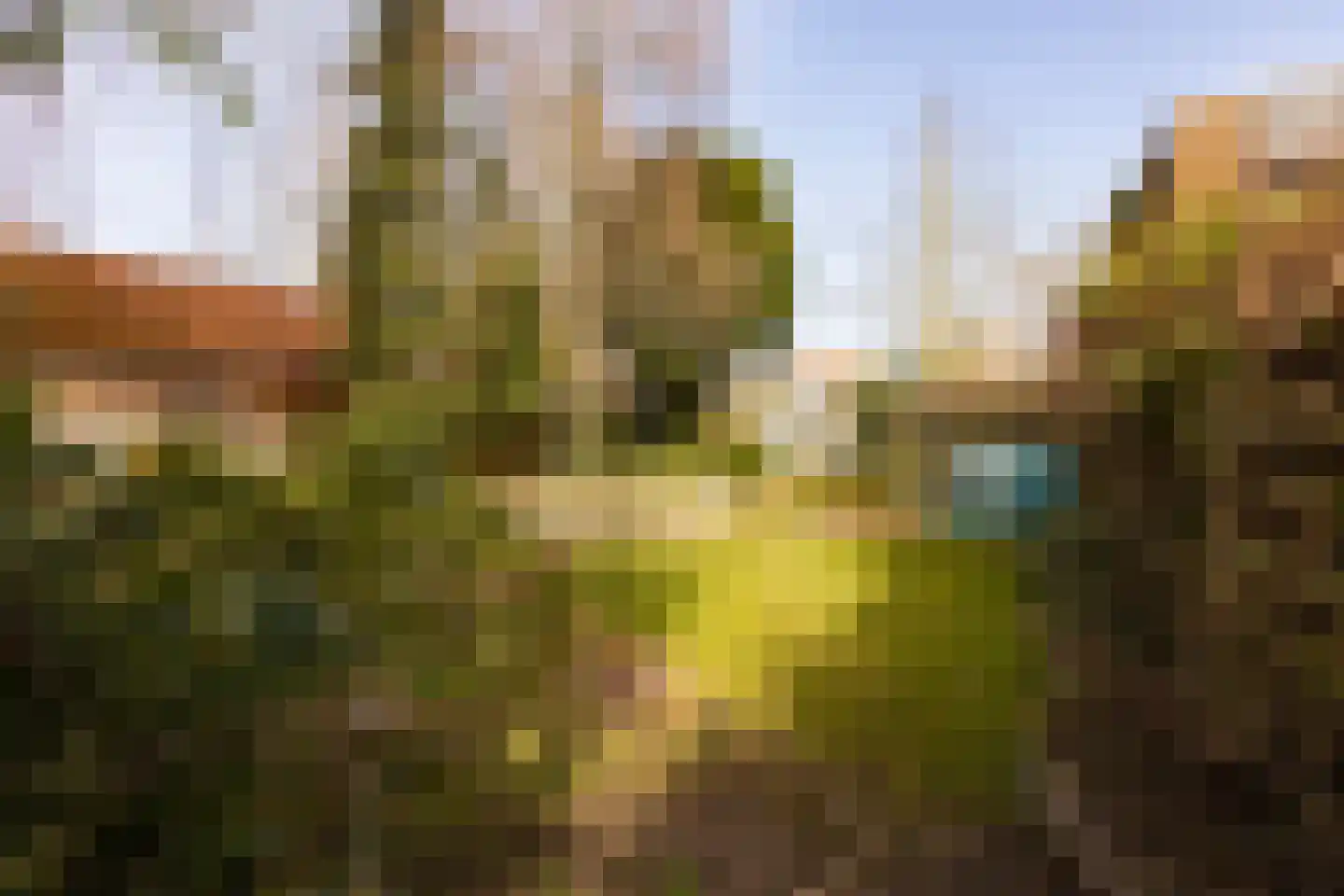Prins Bernhardlaan 18 Ede thumbnail 40