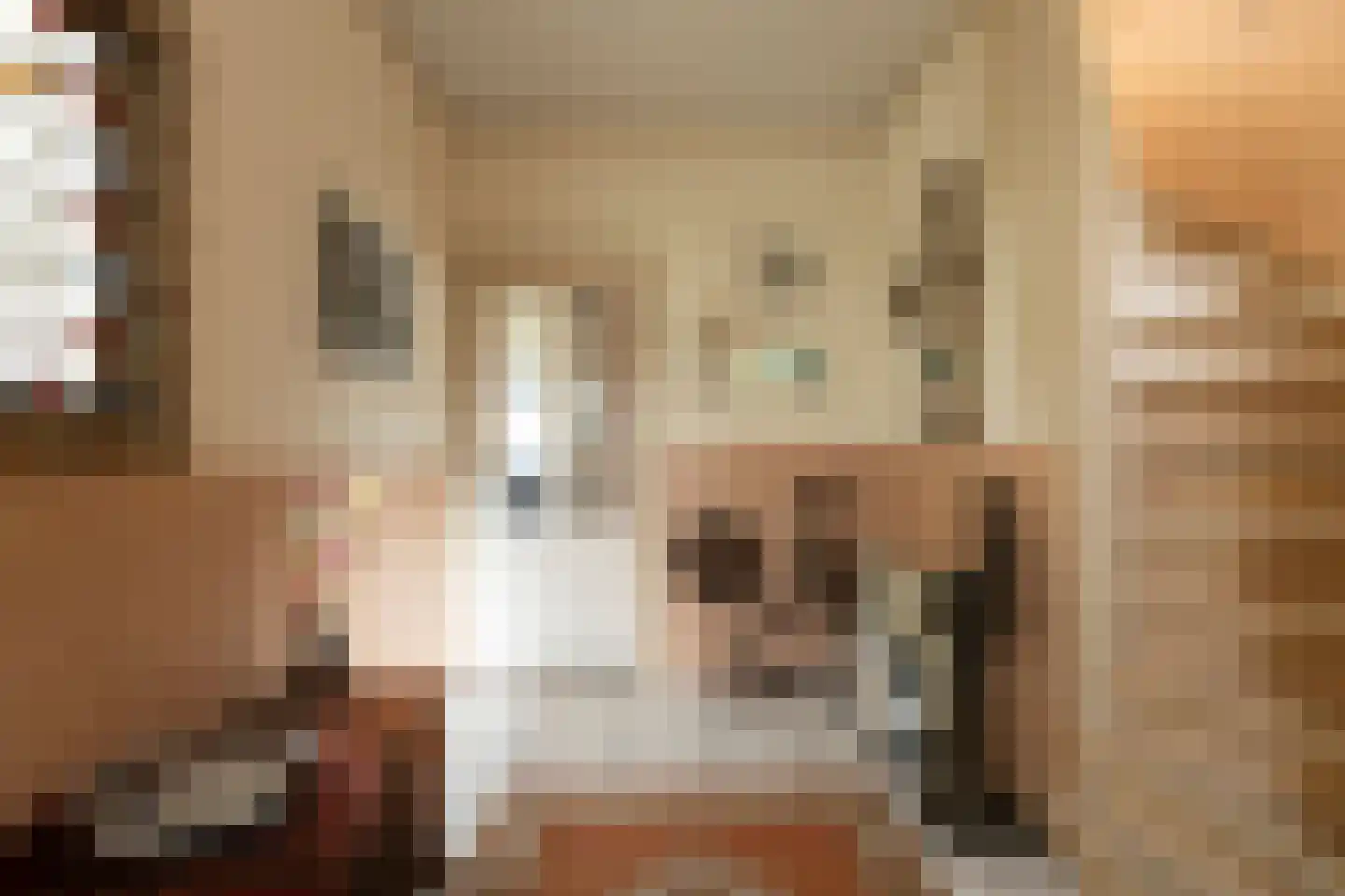 Prins Bernhardlaan 18 Ede thumbnail 7