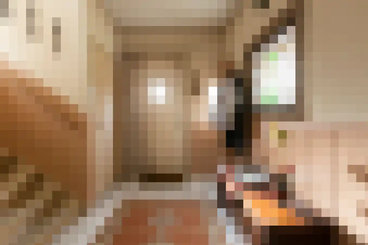 Prins Bernhardlaan 18 Ede thumbnail 8