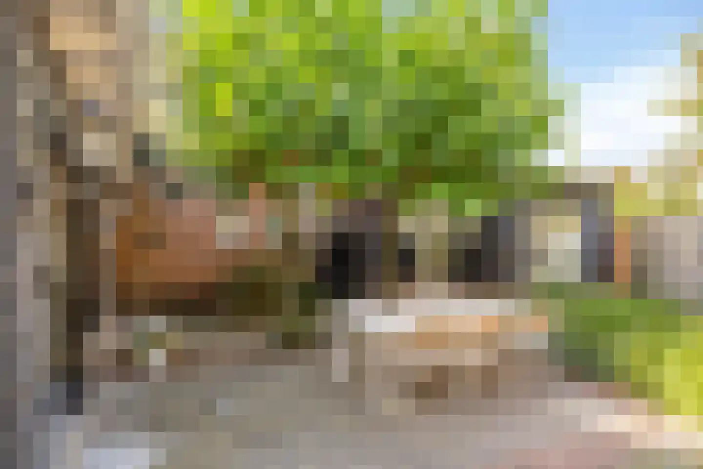 Prins Bernhardlaan 18 Heerde thumbnail 40