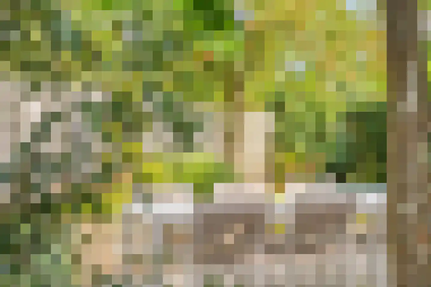 Prins Bernhardlaan 18 Heerde thumbnail 41