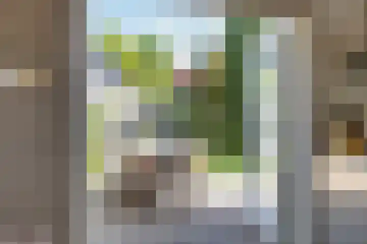 Prins Bernhardlaan 18 Steenderen thumbnail 13
