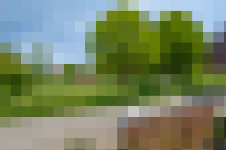 Prins Bernhardlaan 18 Steenderen thumbnail 20
