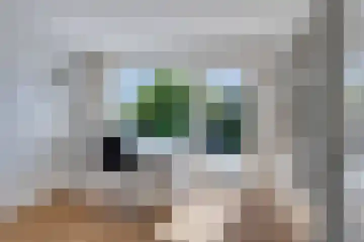 Prins Bernhardlaan 18 Steenderen thumbnail 21