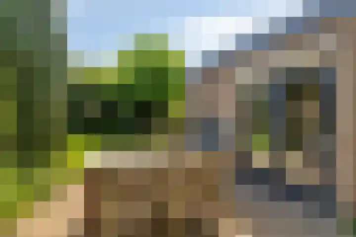 Prins Bernhardlaan 18 Steenderen thumbnail 28