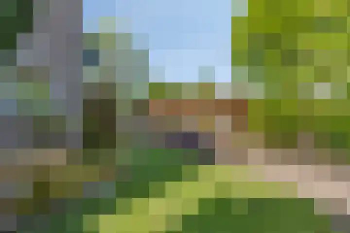Prins Bernhardlaan 18 Steenderen thumbnail 29
