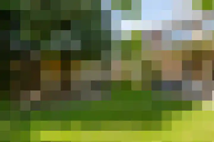 Prins Bernhardlaan 18 Steenderen thumbnail 30