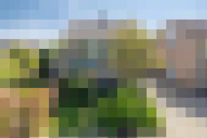 Prins Bernhardlaan 18 Steenderen thumbnail 32