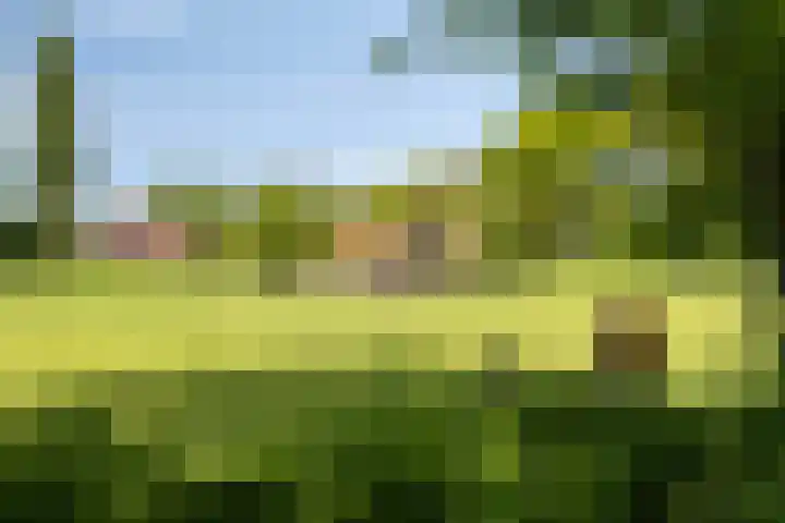 Prins Bernhardlaan 18 Steenderen thumbnail 33