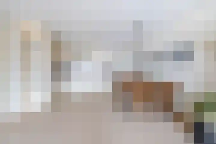 Prins Bernhardlaan 188 Waddinxveen thumbnail 12