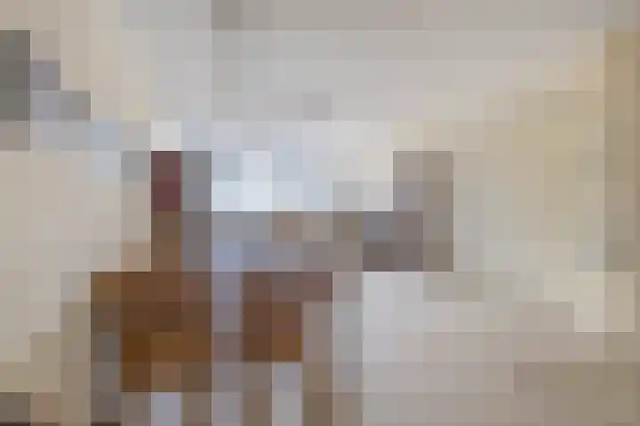 Prins Bernhardlaan 188 Waddinxveen thumbnail 13