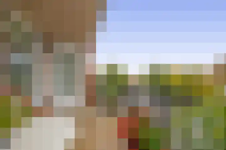 Prins Bernhardlaan 188 Waddinxveen thumbnail 17