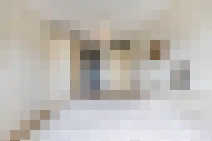 Prins Bernhardlaan 188 Waddinxveen thumbnail 20