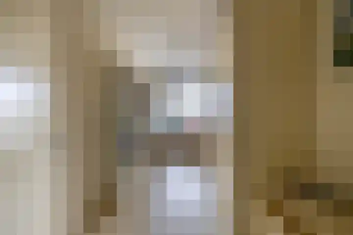 Prins Bernhardlaan 188 Waddinxveen thumbnail 24