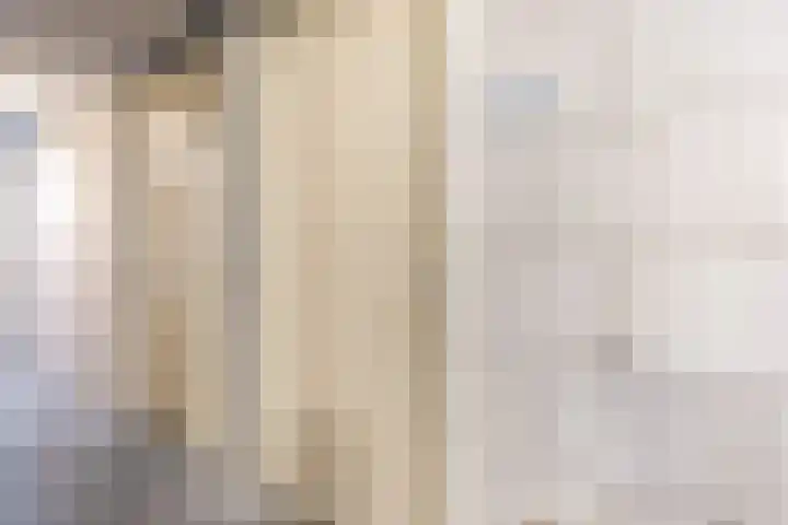 Prins Bernhardlaan 188 Waddinxveen thumbnail 25