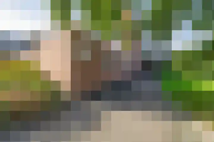 Prins Bernhardlaan 188 Waddinxveen thumbnail 28