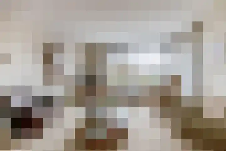 Prins Bernhardlaan 188 Waddinxveen thumbnail 9