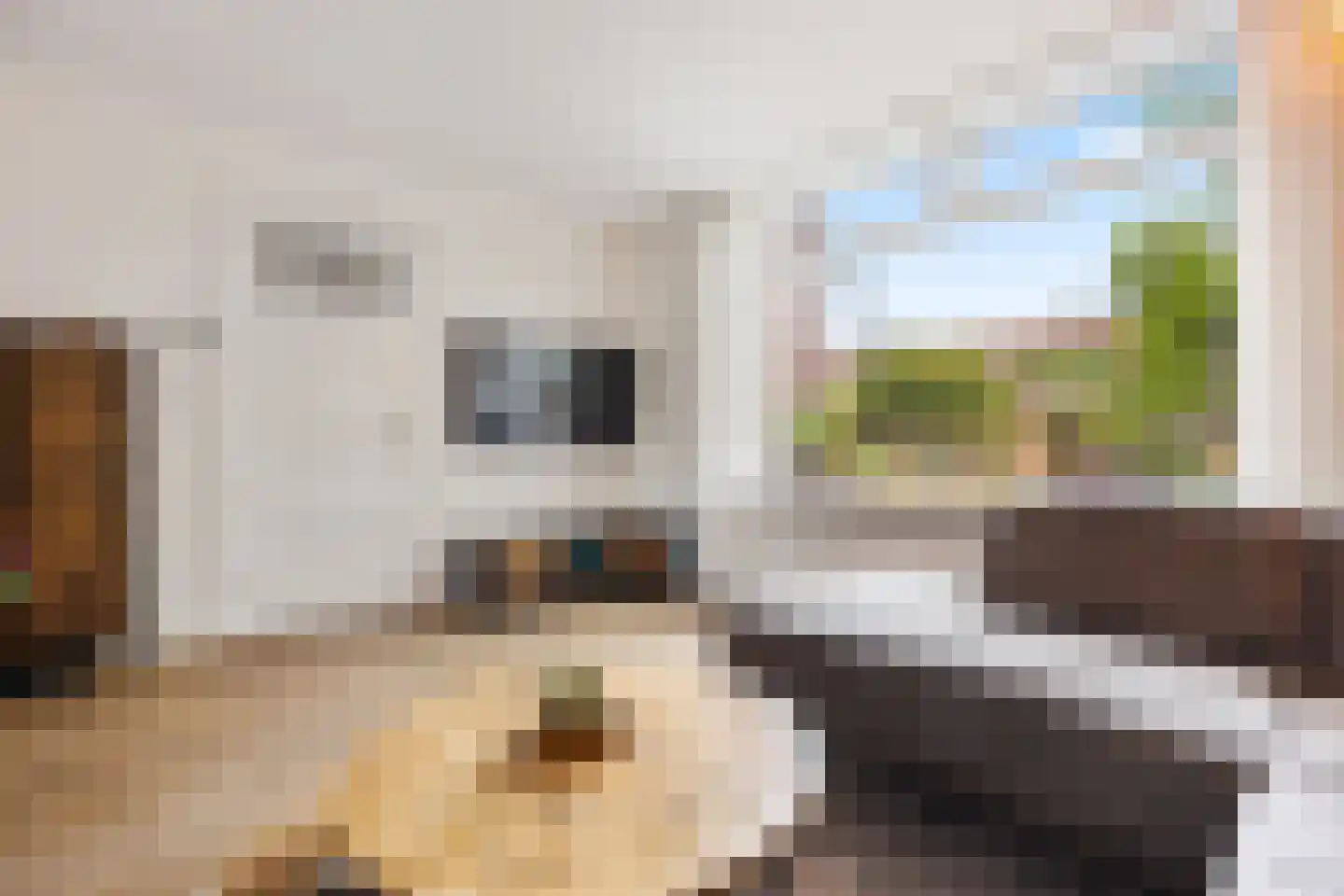 Prins Bernhardlaan 189 Veenendaal thumbnail 10